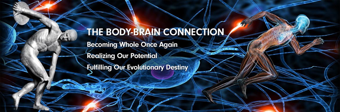 The Body-Brain Connection